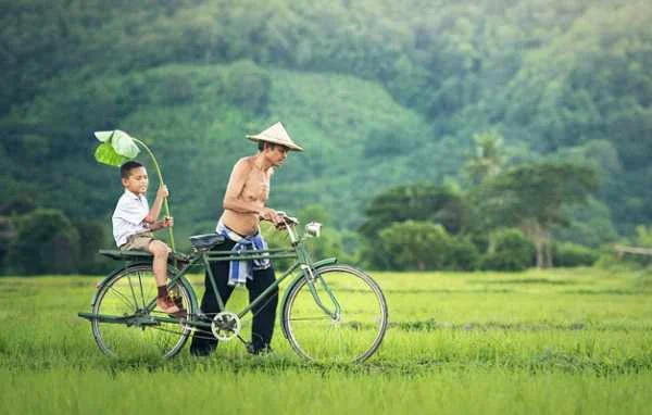 Nggak Banyak Bicara, Tapi Punya Power: Ini Kekuatan Low Profile!